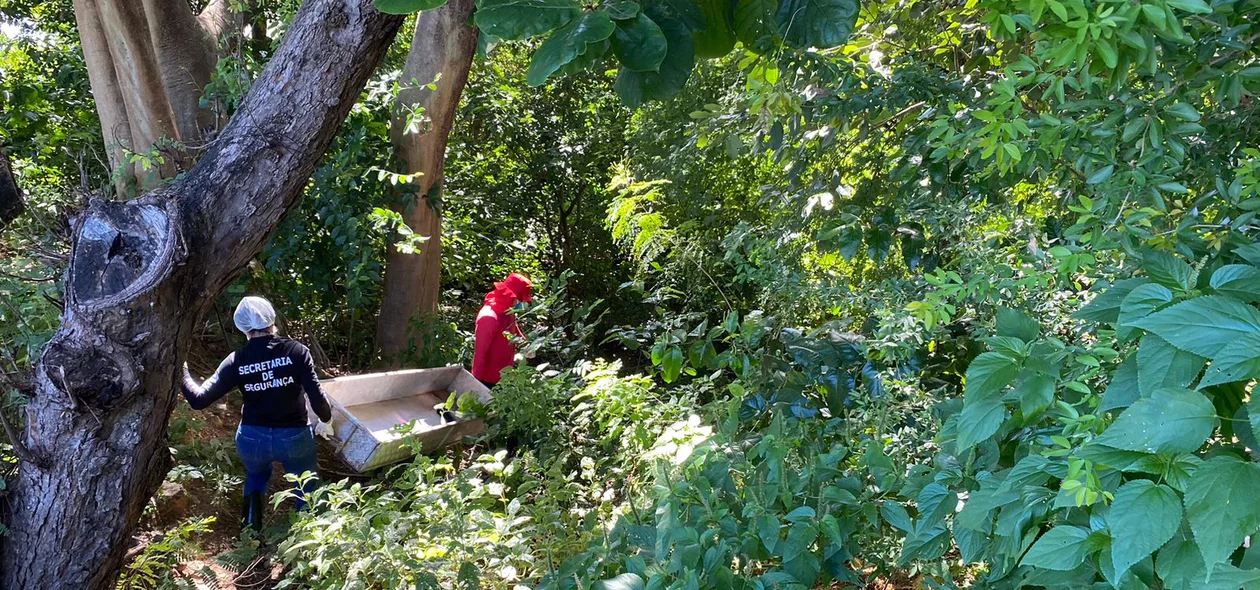 Corpo de homem é encontrado no Rio Poti em Teresina