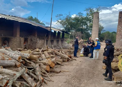 Drogas foram apreendidas durante 10 anos de apreensões em Cocal
