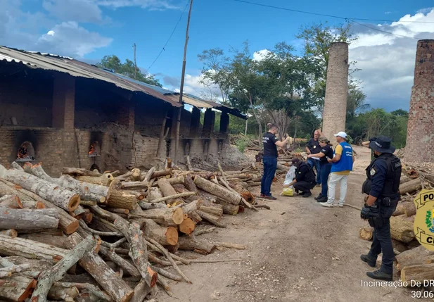 Drogas foram apreendidas durante 10 anos de apreensões em Cocal