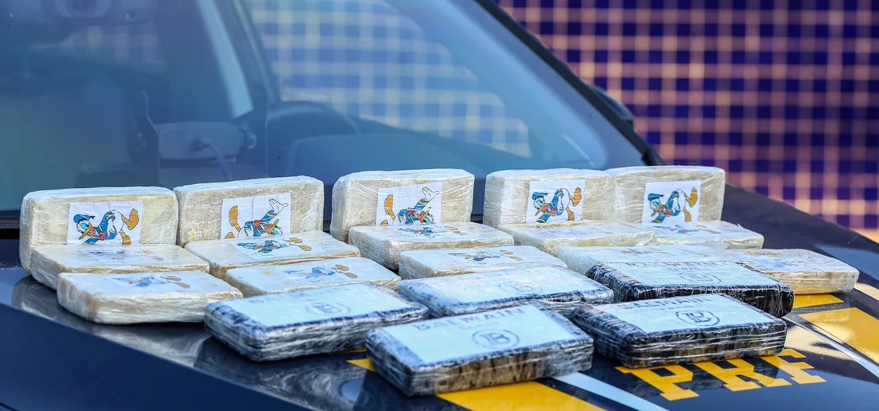 Entorpecentes estão avaliados em mais de R$ 1 milhão