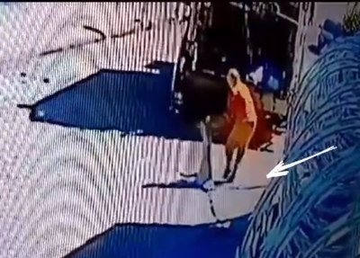 Gari arremessa o cachorro no caminhão do lixo