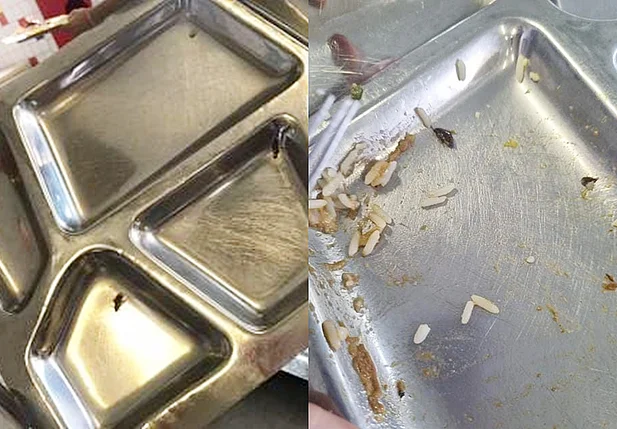 Insetos encontrados na comida do IFPI