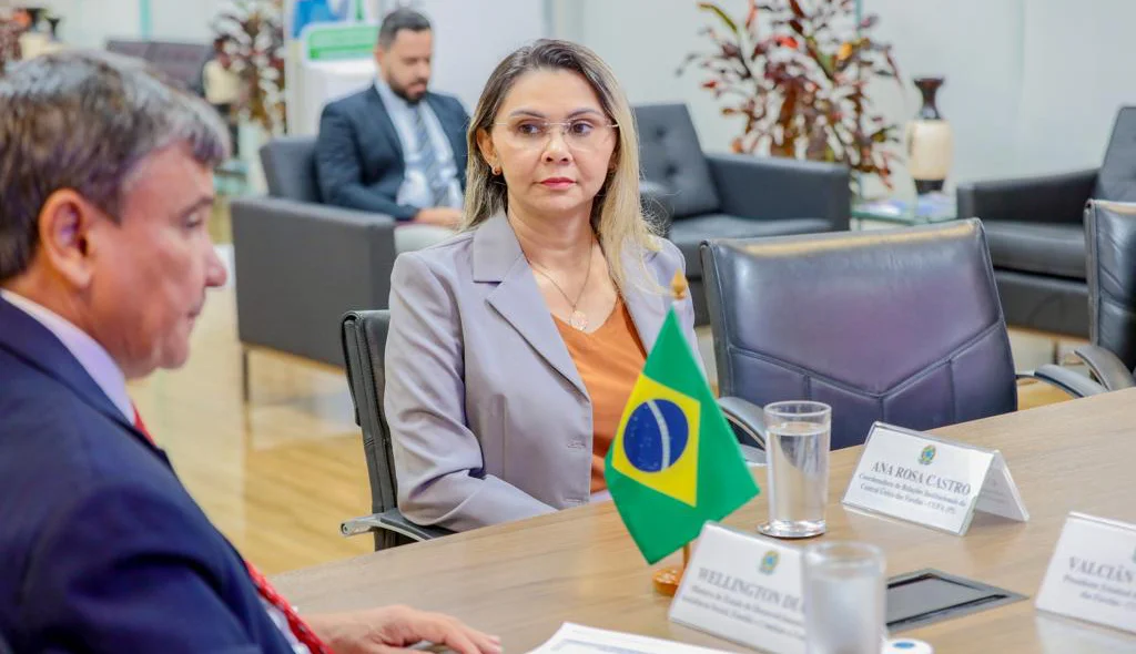 Ministro Wellington Dias recebe presidente da CUFA Piauí em Brasília