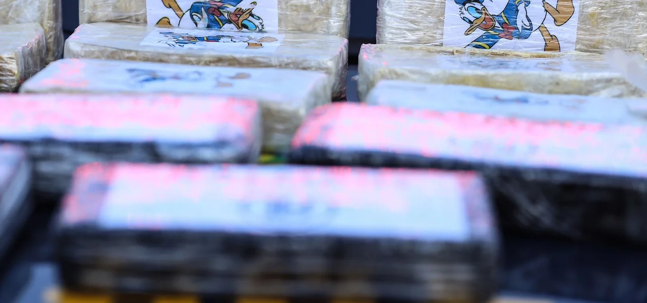 Ônibus em que as drogas foram encontradas vinham de Pernambuco