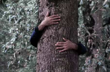 Pessoa abraçando árvore