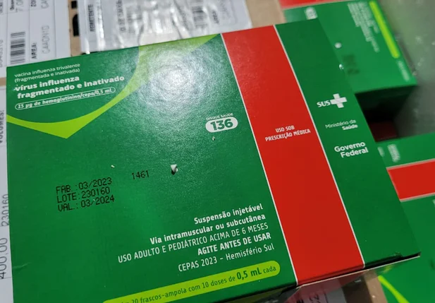 Piauí recebe 100 mil novas doses para reforçar vacinação contra a gripe
