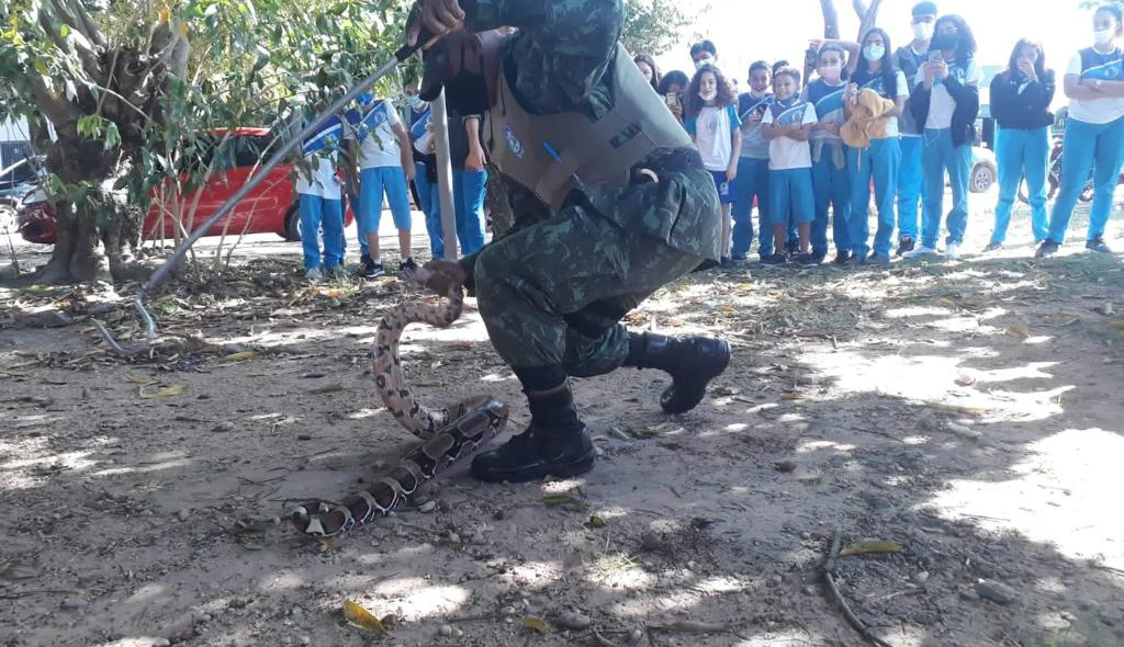 Políciais fazem o resgate de animais silvestres