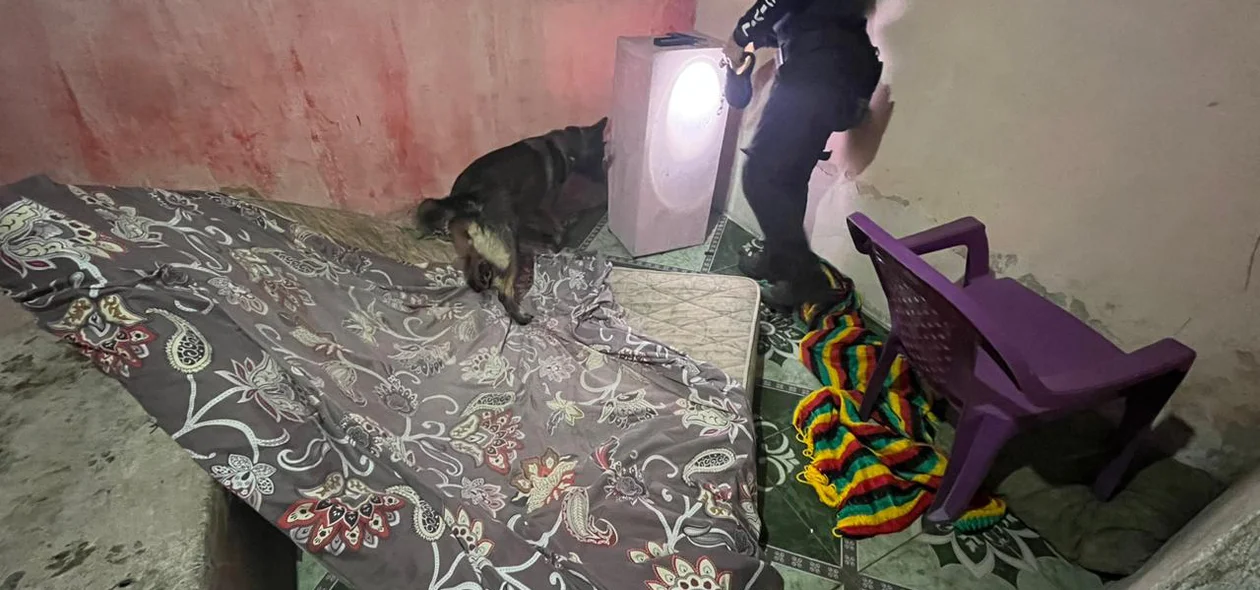 Policiais utilizaram cão farejador para encontrar drogas