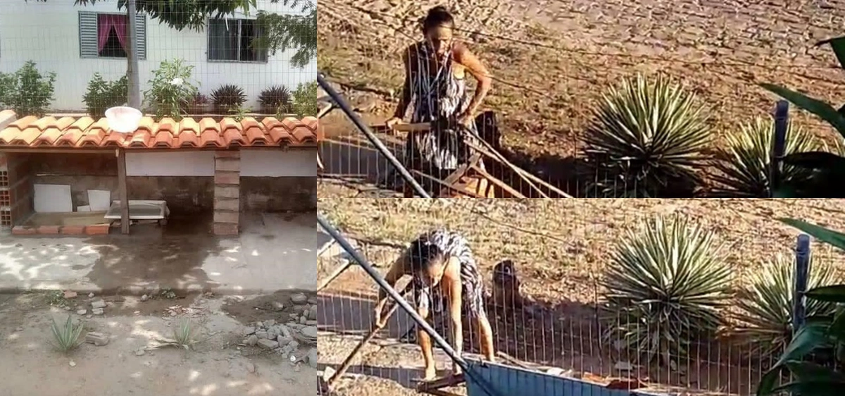 A mulher destruiu o abrigo construído para animais em situação de rua