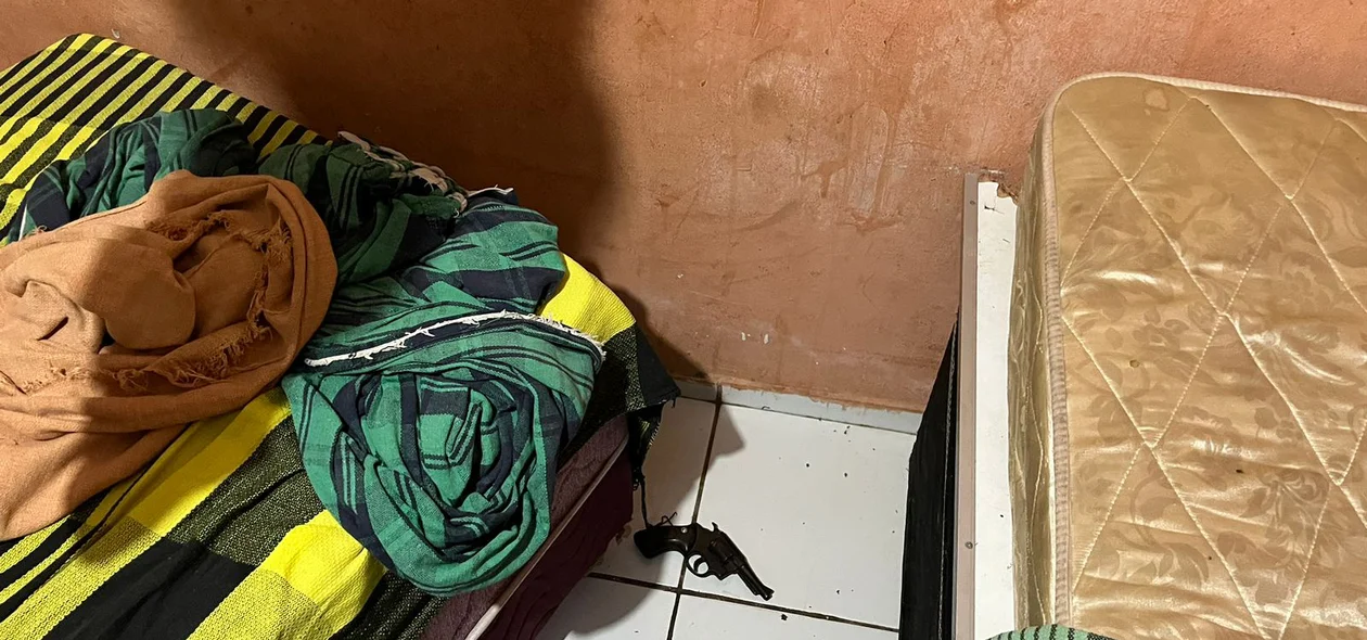 Buscas realizadas durante operação do DRACO
