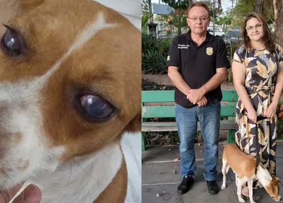 Cadela cega é resgatada por protetora, Polícia Civil e OAB-PI