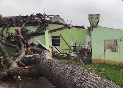 Casas foram parcialmente destruídas com quedas de árvores