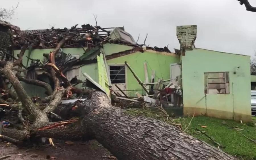 Casas foram parcialmente destruídas com quedas de árvores