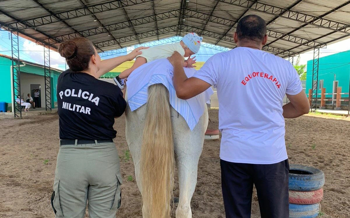 Centro Estadual de Equoterapia