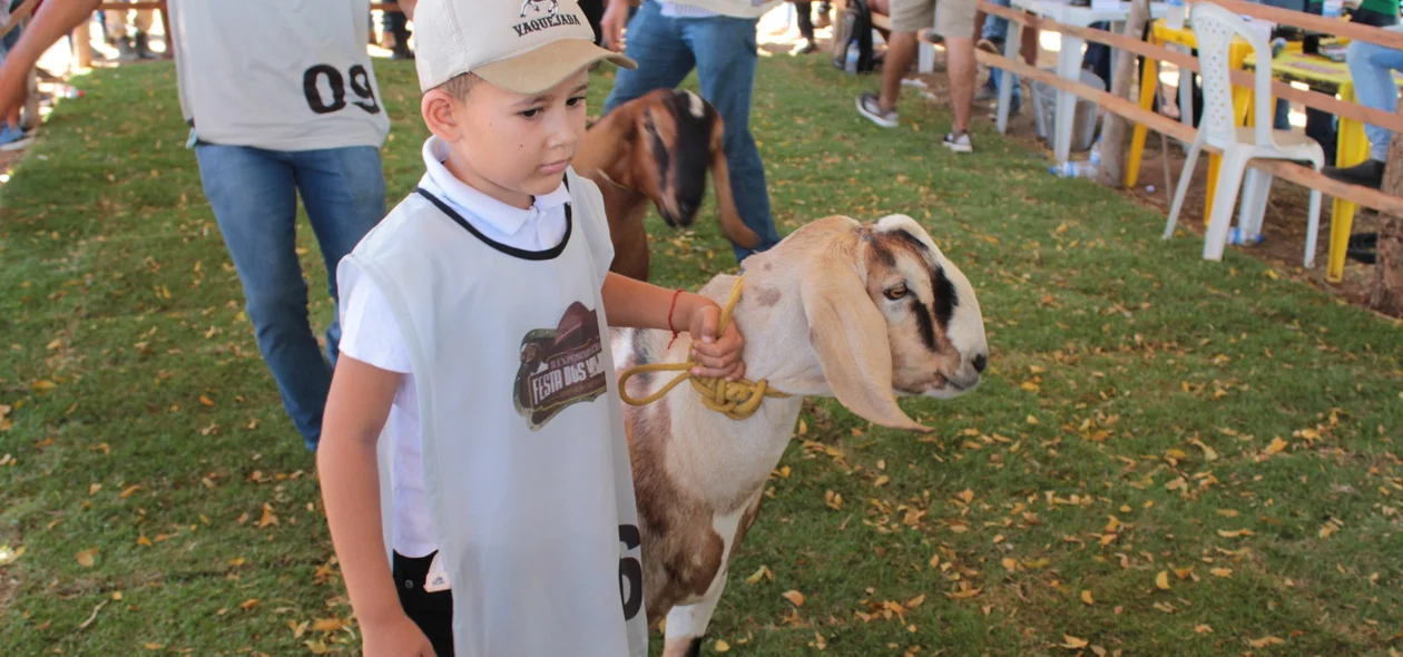 Festa dos Vaqueiros de Simplício Mendes