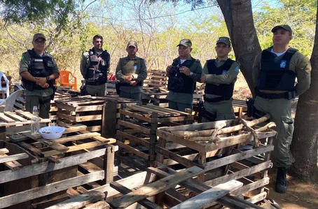 Local onde os galos ficavam foi desarticulado pela Polícia Militar