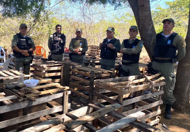 Local onde os galos ficavam foi desarticulado pela Polícia Militar