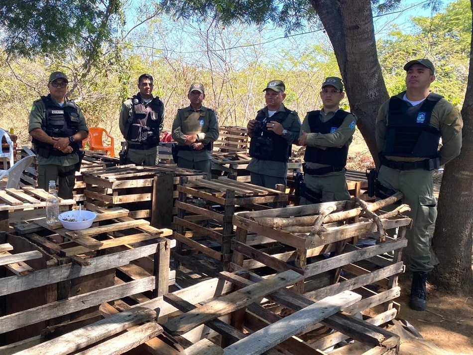 Local onde os galos ficavam foi desarticulado pela Polícia Militar