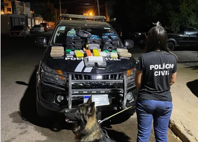 Material apreendido durante operação em Picos