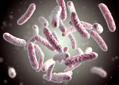 Novas superbactérias