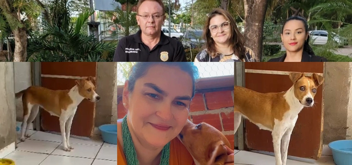Pérola foi adotada pela Rayssa Protetora