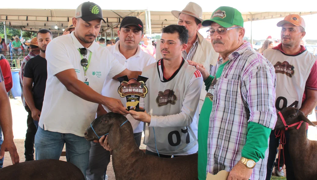 Premiação para os melhores animais em exposição