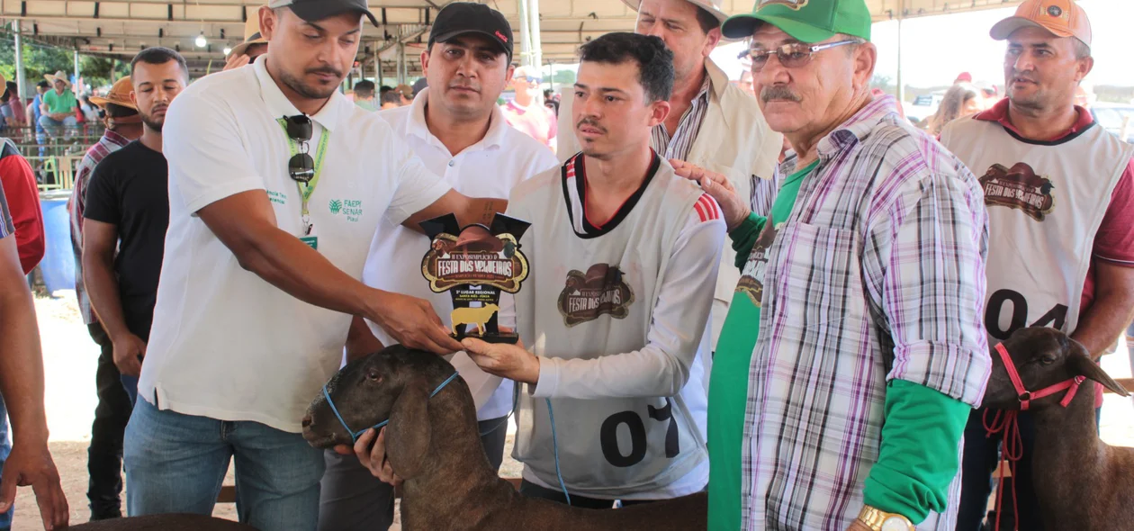 Premiação para os melhores animais em exposição