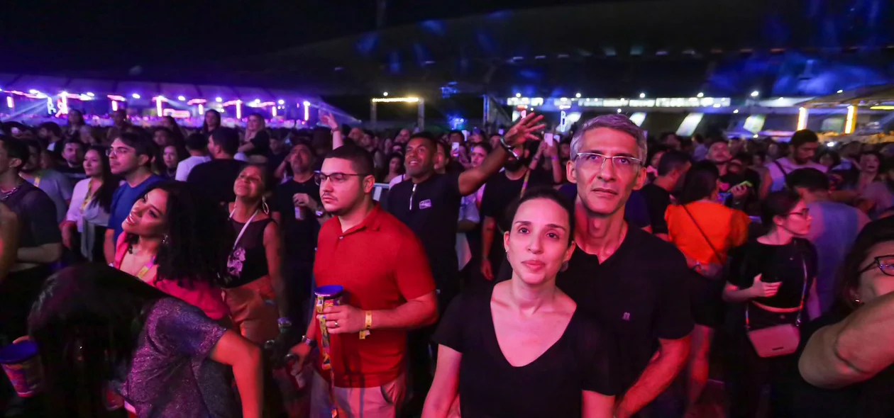 Público curtindo Luciana Mello