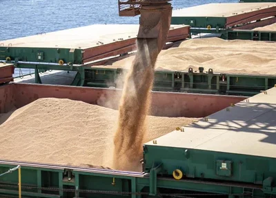 A agropecuária foi o único setor que cresceu em exportações no Brasil, em 2023