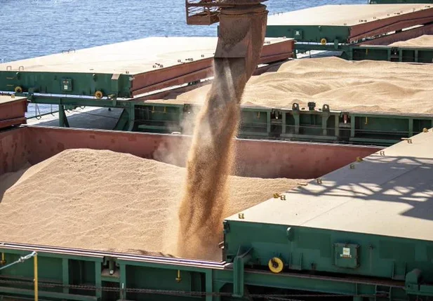 A agropecuária foi o único setor que cresceu em exportações no Brasil, em 2023