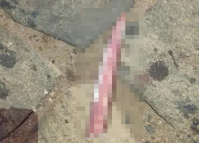 Arma utilizada para cometer o crime foi apreendida