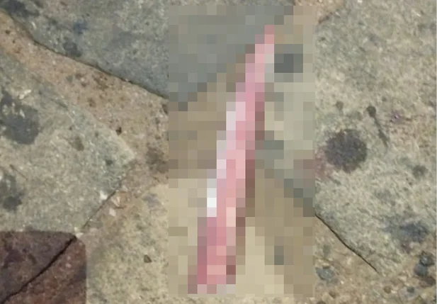 Arma utilizada para cometer o crime foi apreendida