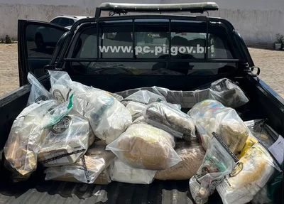 Cerca de 190kg de skunk, cocaína e crack foram incinerados