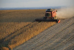El Niño ameaça produção agrícola do Piauí com seca severa no segundo semestre