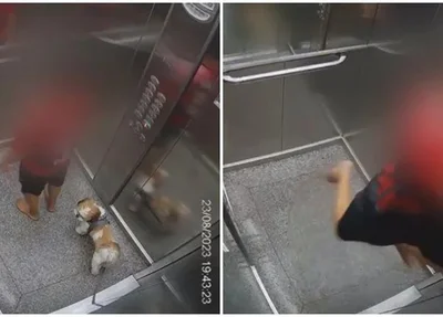 Criança pula até o teto de elevador para salvar cadela em GO