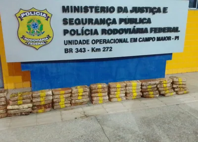 Droga apreendida