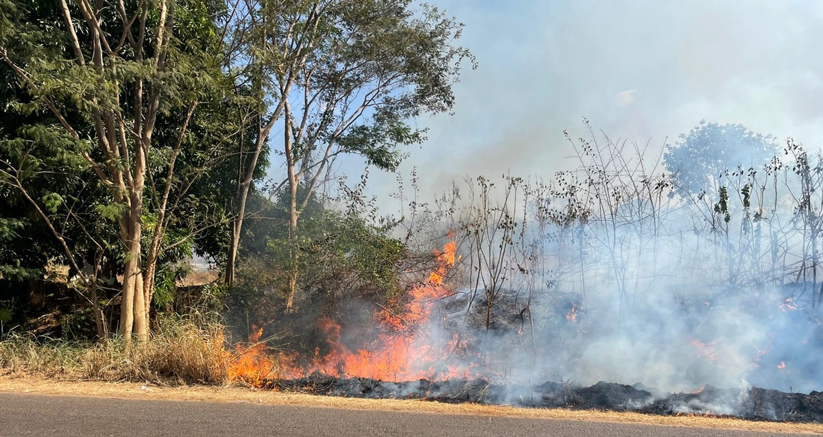 Foco de incêndio na região da BR-343