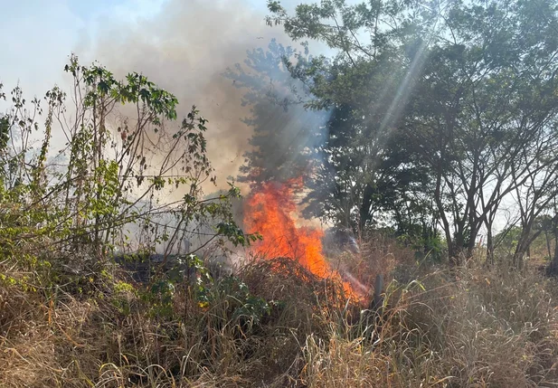 Foco de incêndio próximo ao Terminal de Petróleo de Teresina