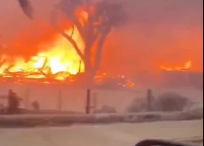 Incêndios florestais no Havaí deixam 36 pessoas mortas