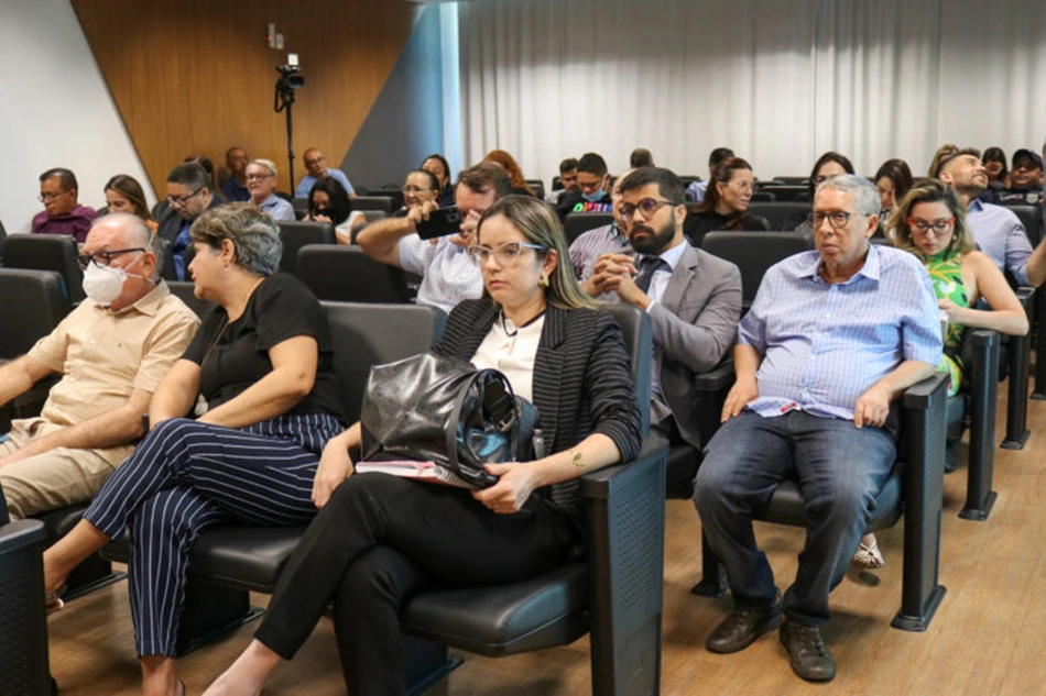 Membros de Conselhos estiveram presentem em audiência com o MPPI