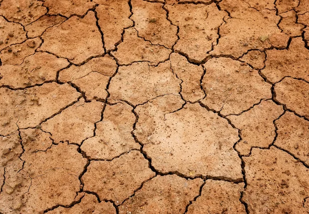Municípios piauienses sofrem com a seca