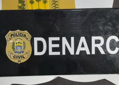 Operação foi deflagrada pela Polícia Civil através do Departamento de Investigações sobre Narcóticos (DENARC)