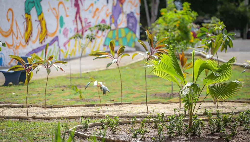 Plantas da praça Tenha Fé