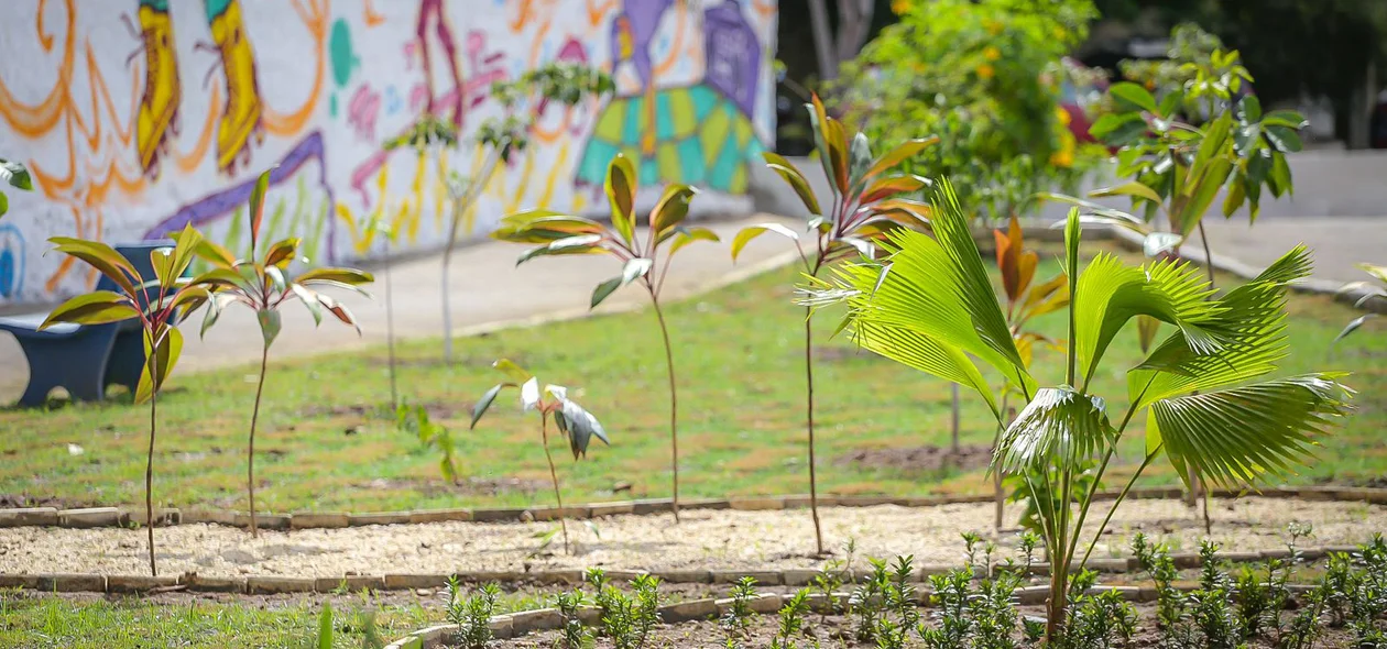 Plantas da praça Tenha Fé