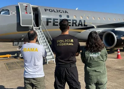 Representantes brasileiros resgatarão animais nativos da fauna brasileira