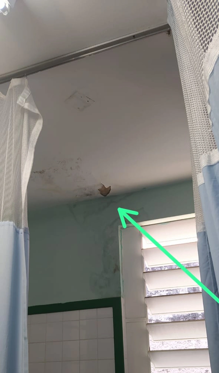 Segundo Nataniel, o gesso do teto da maternidade está caindo nos pacientes
