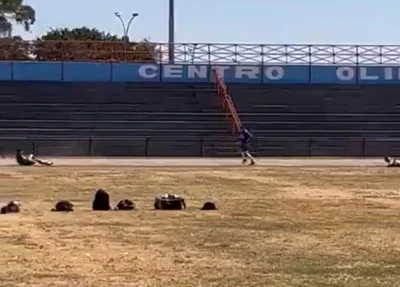 Um jovem morreu após passar mal durante o Teste de Aptidão Física (TAF) do concurso para soldado da Polícia Militar