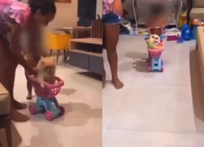Vídeo de criança puxando cachorro repercutiu nas redes sociais