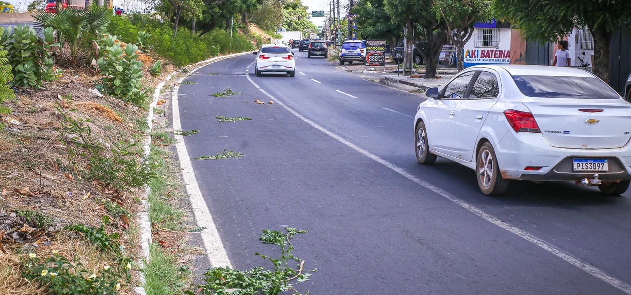 Acidente aconteceu na BR 316