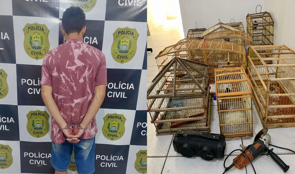 Acusado de furtas animal em Oeiras também mantinha pássaros em cativeiro
